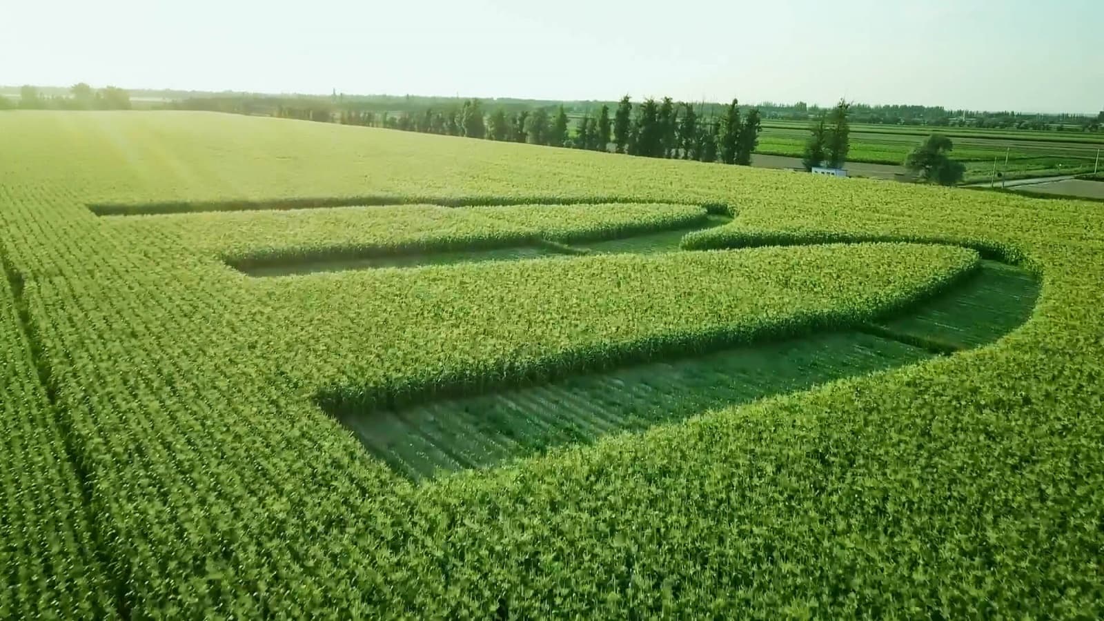 枣园养鸡生态养殖基地